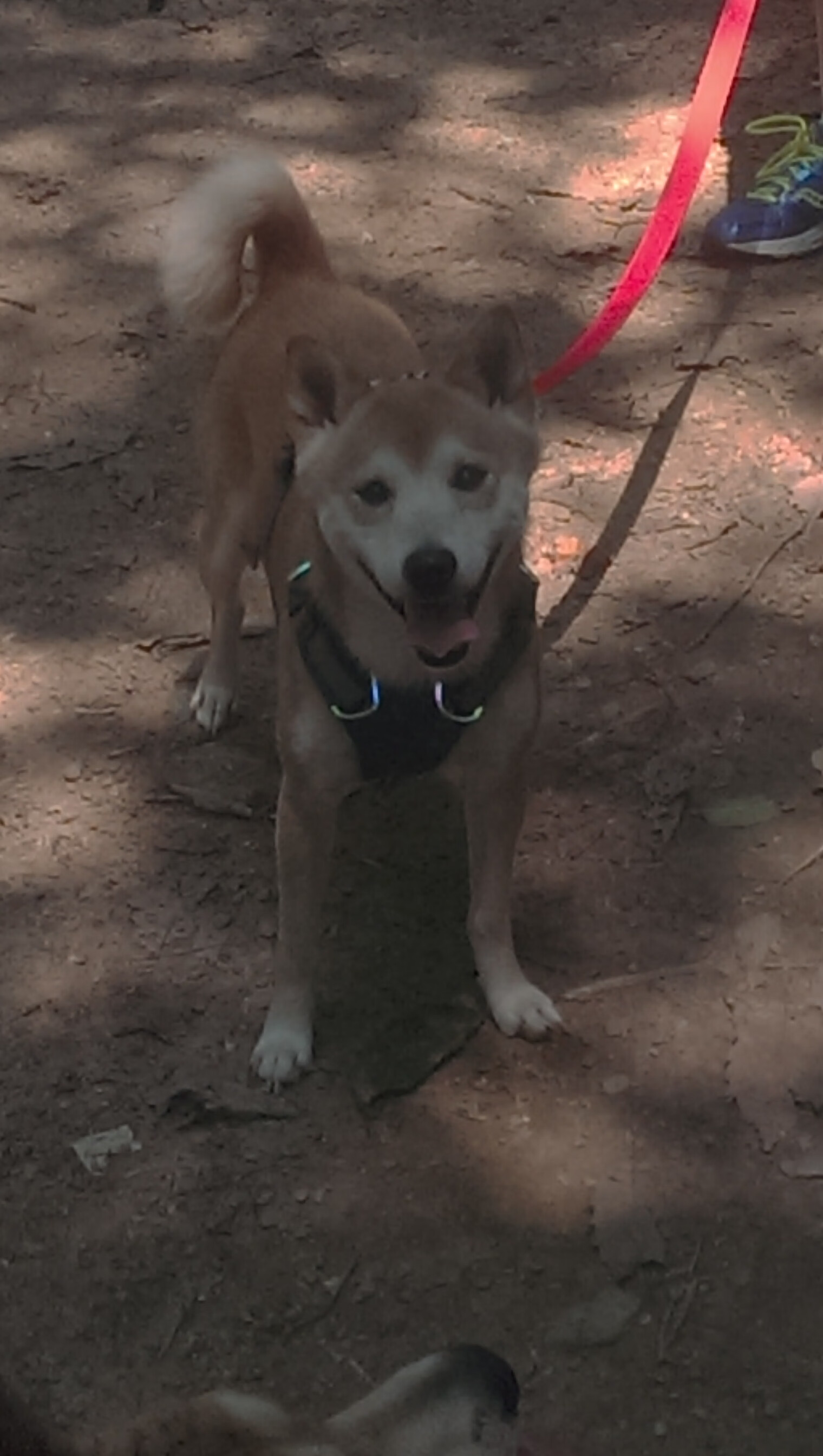 _全民瑜伽月：身心放松新潮流_，全民瑜伽是什么概念