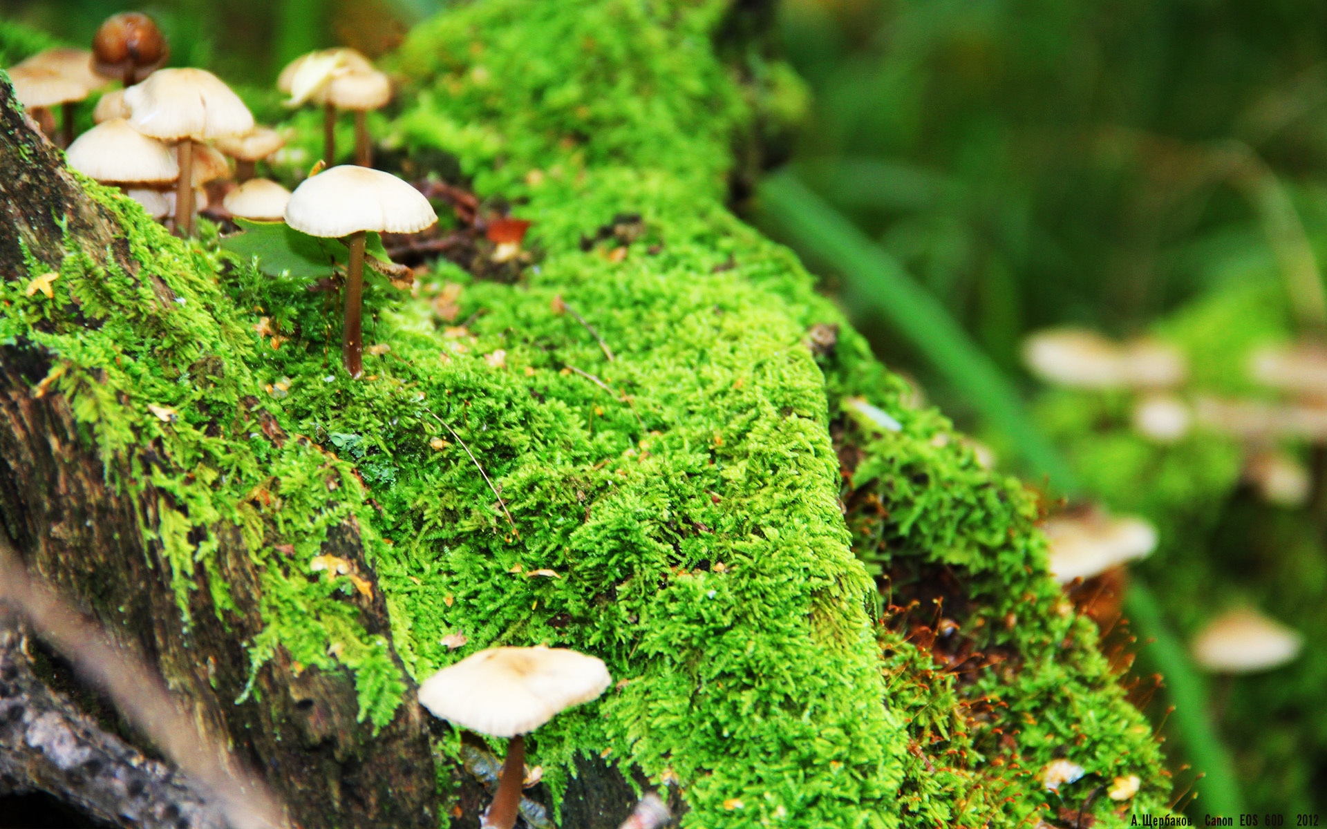 九游登录入口-_花式篮球表演赛：运动之美无限延伸_，篮球花样表演