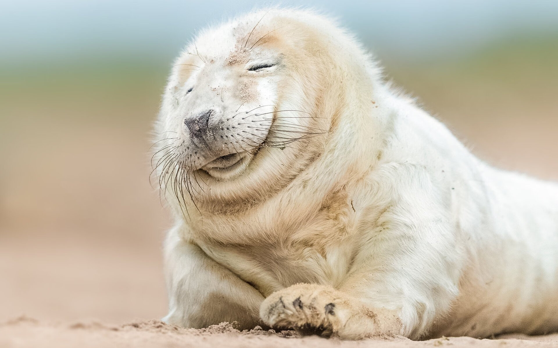 九游app下载中心-《最受期待的直播嘉宾：明星主播加盟助阵》，见证下一个明星主播报名