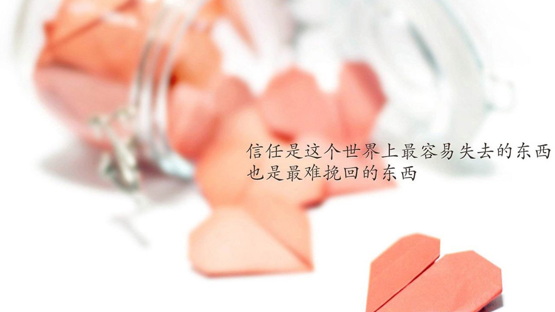 体育产业峰会召开，探讨数字化转型新机遇，体育产业发展论坛