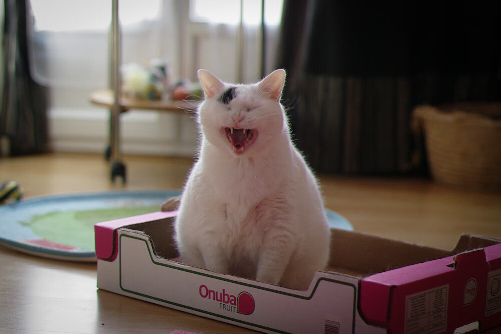 九游娱乐(jiuyou)官网-独行侠老板对于未来的转会策略充满信心，独行侠新主场