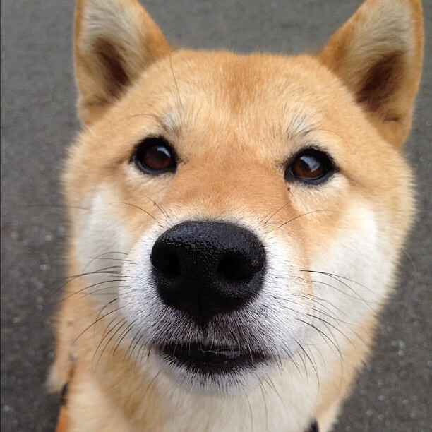 中国篮球运动员国际表现,中国篮球运动员得分排名