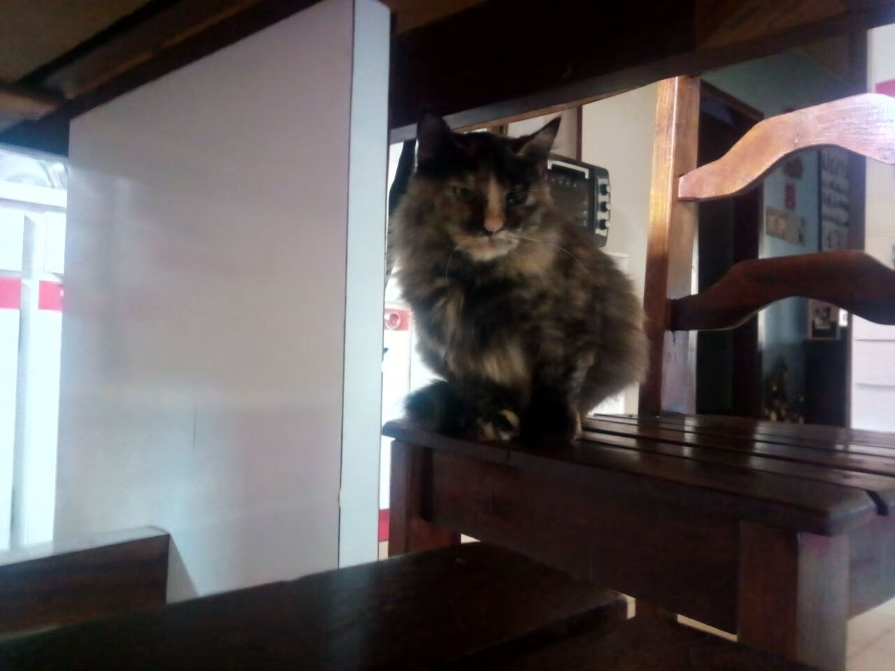 全明星名额是否分配合理,全明星有几个名额