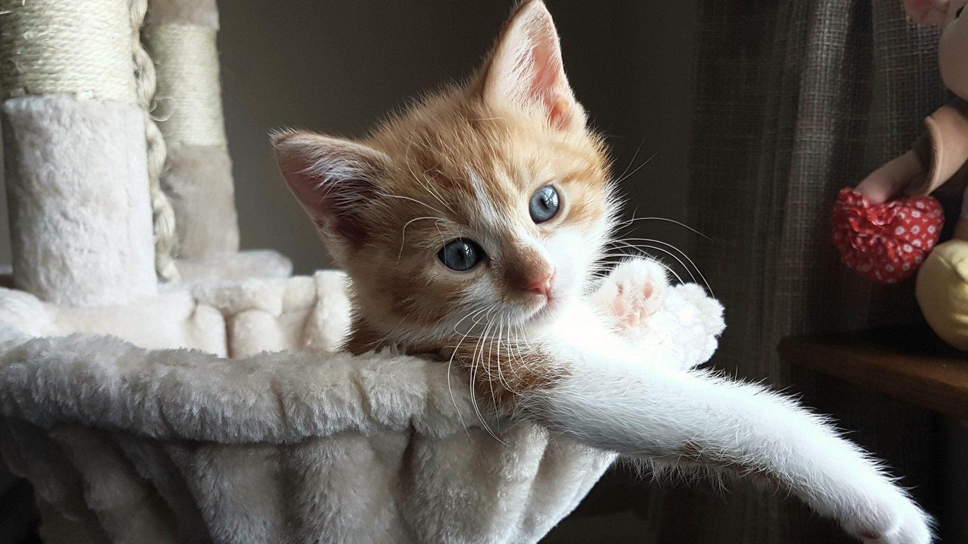 九游娱乐官网 (jiuyou)-利物浦客场作战曼城，恐怕难分胜负，利物浦与曼城比赛时间