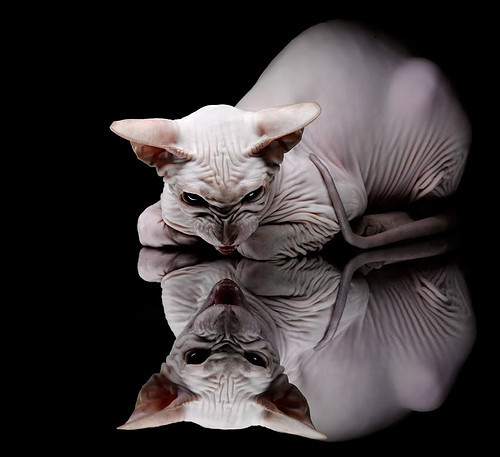 Jiuyou-女足国家队训练营成果显现，国家女足训练基地在哪