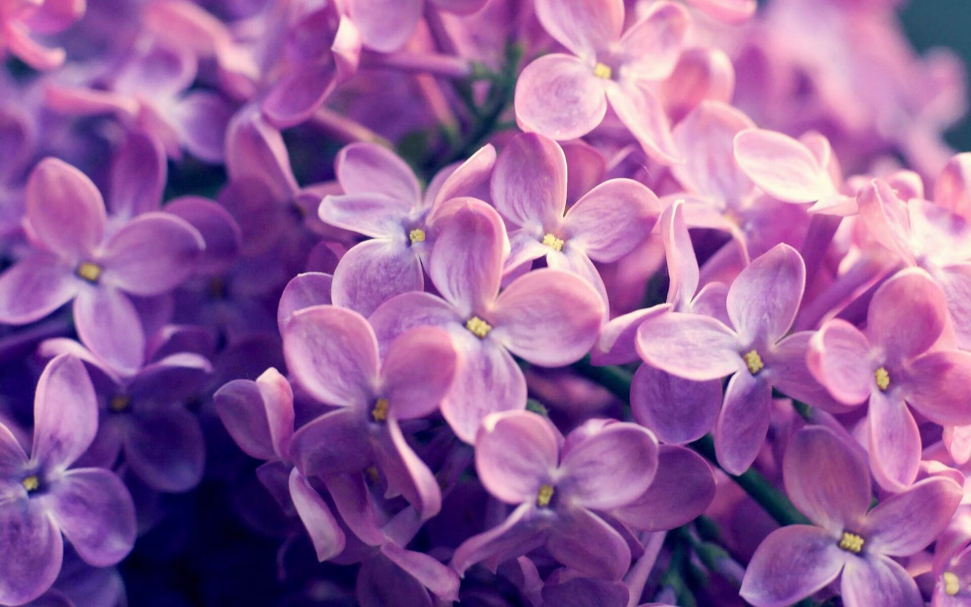 是否应为替补球员设立联赛出场保障指标,比赛中替补队员有几次上场机会