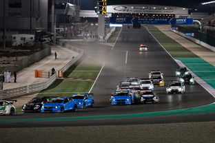 九游APP官网-世界雪车锦标赛中国选手跻身前八，世界雪车锦标赛用车多少钱