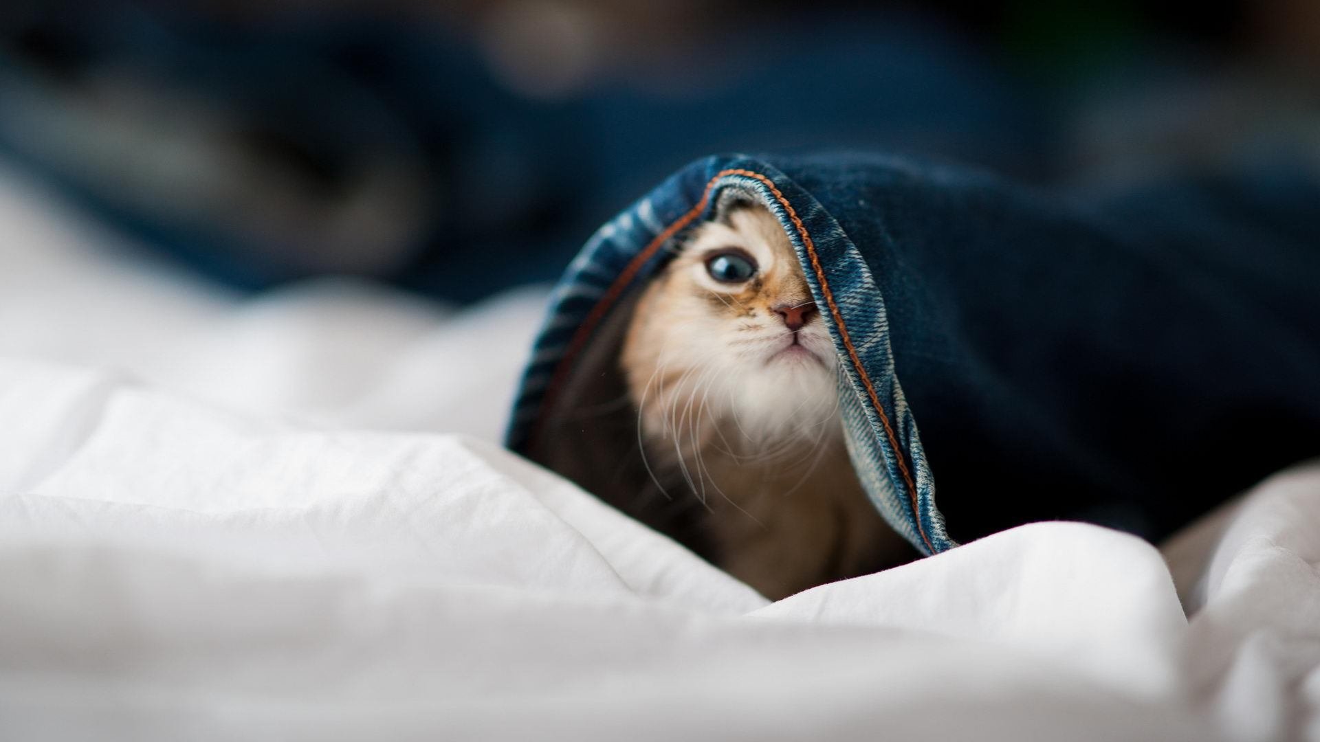 东亚杯U23国足爆冷 战术复盘揭示问题,亚洲杯u23中国队