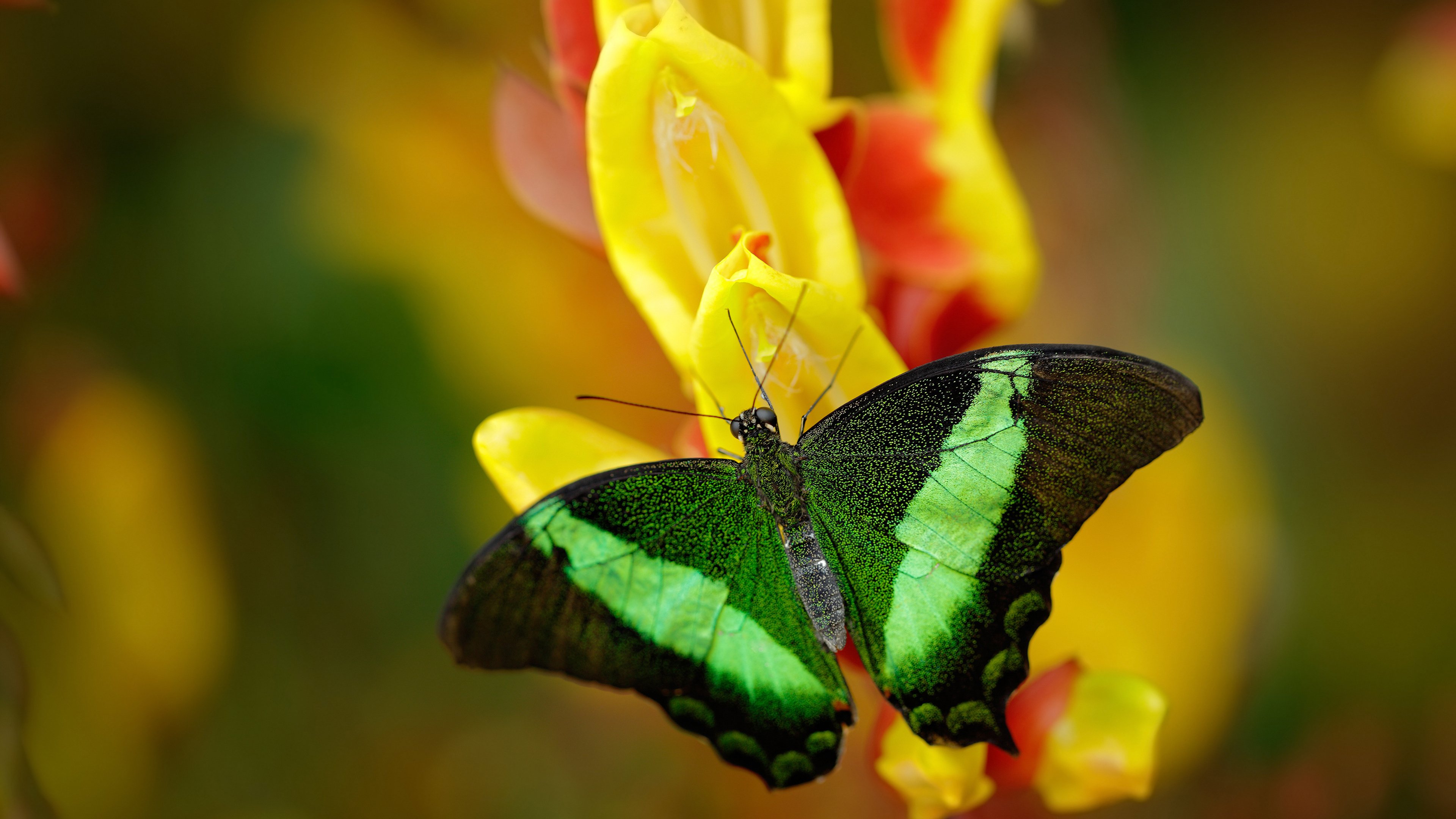 九游娱乐官网 (jiuyou)-中国男篮攻防配合更加默契，聊聊中国男篮