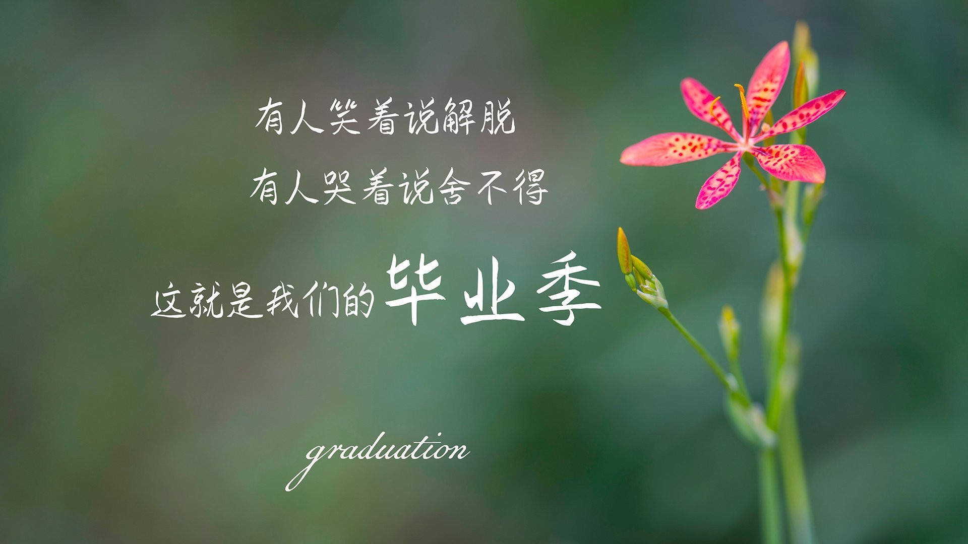 中国男篮加强训练节奏紧贴国际比赛需求,中国男篮新规则