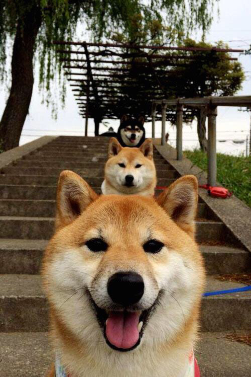 世界杯精彩瞬间盘点:每一秒都令人激动,世界杯经典回顾