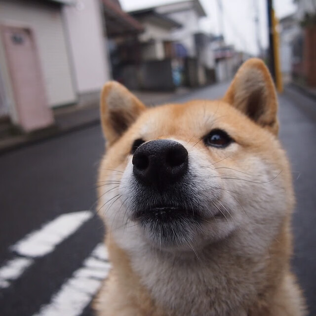 九游娱乐官网 (jiuyou)-乌干达女篮在非洲锦标赛中持续突破，逐步迈上国际新高地，非洲乌干达rose