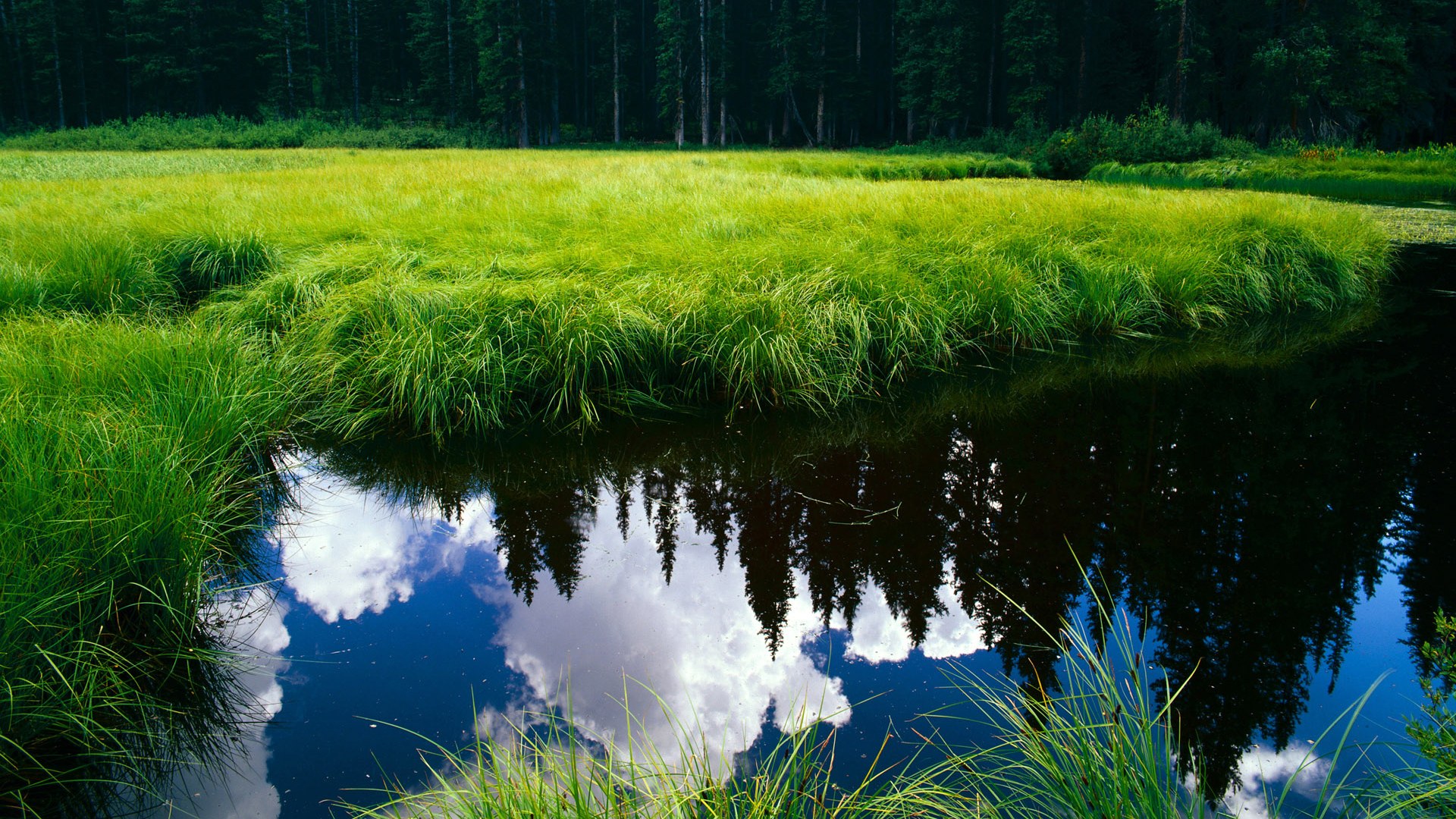 体育主题市集开幕球迷与球员互动热烈打造赛季特别记忆,体育市场是什么意思
