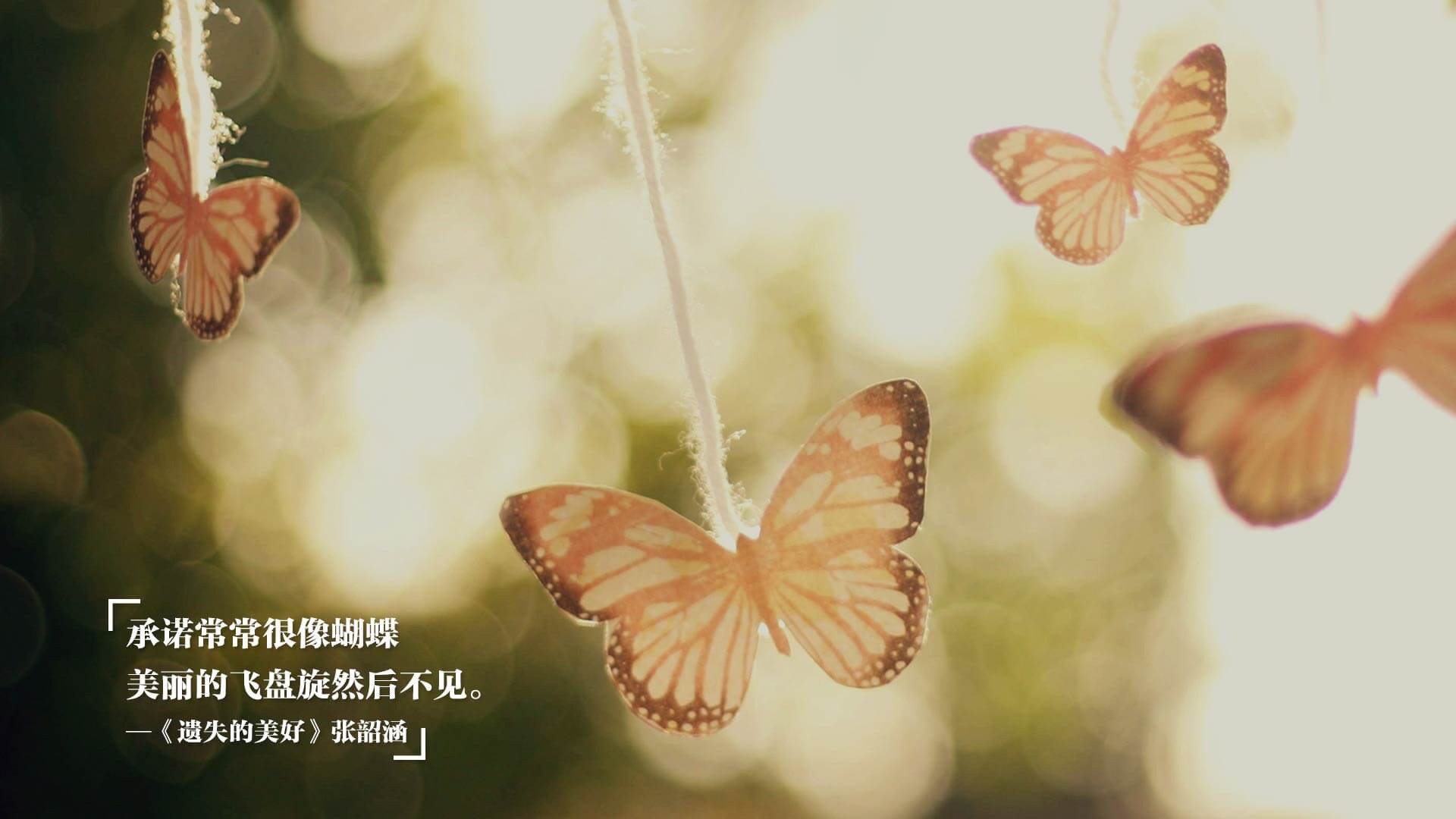 九游娱乐官网 (JIUYOU)-女子篮球联赛精彩瞬间 年轻球员崛起，女子篮球 帅