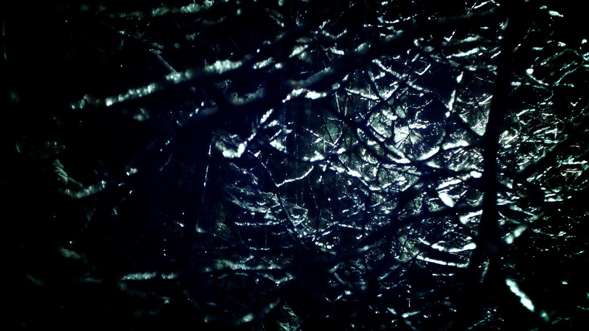 九游网页版官网入口-巴西队在南美预赛中保持领先，晋级成定局