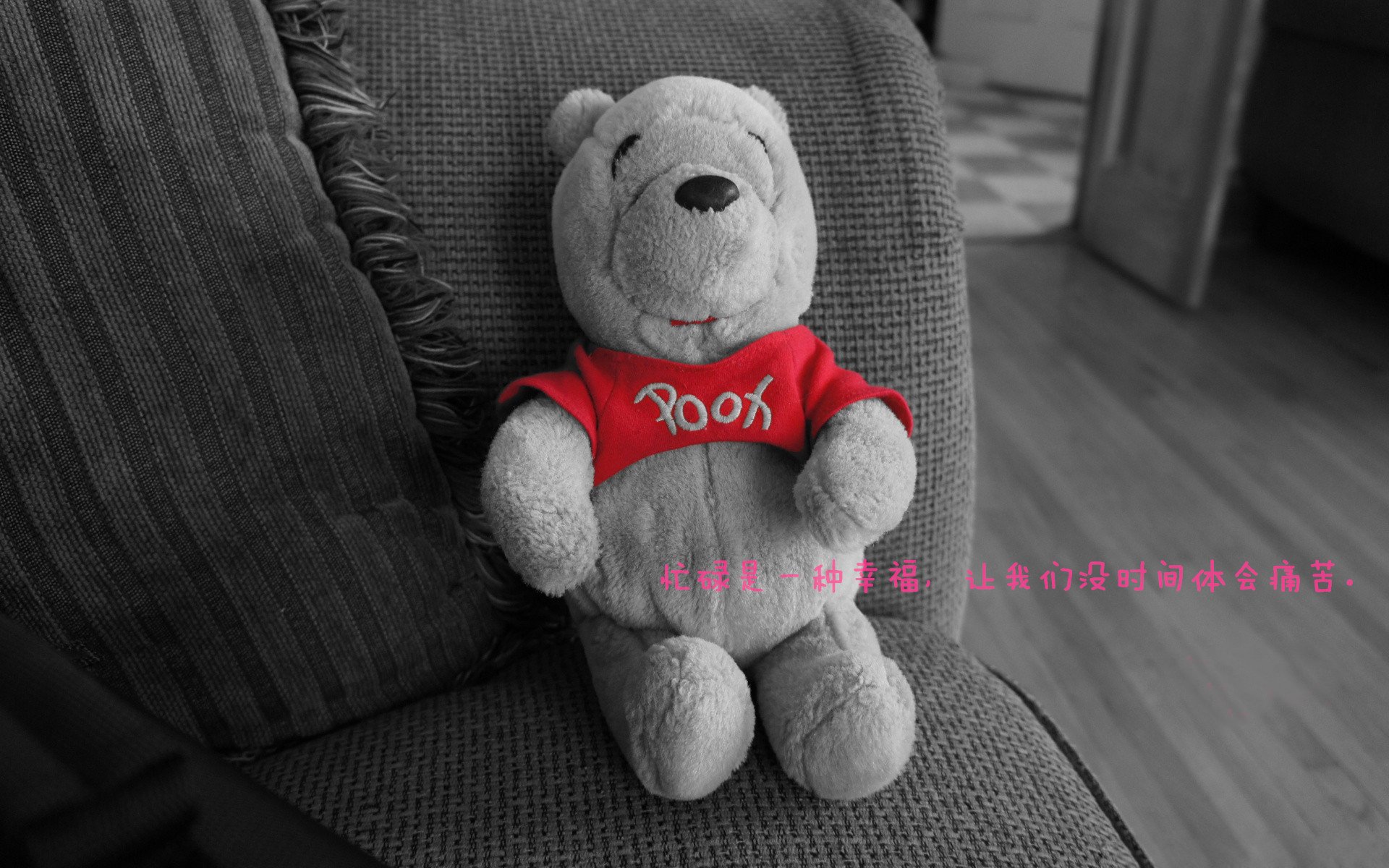 特色足球产业园区建设不断加快，打造产业链闭环生态，足球特色园申报