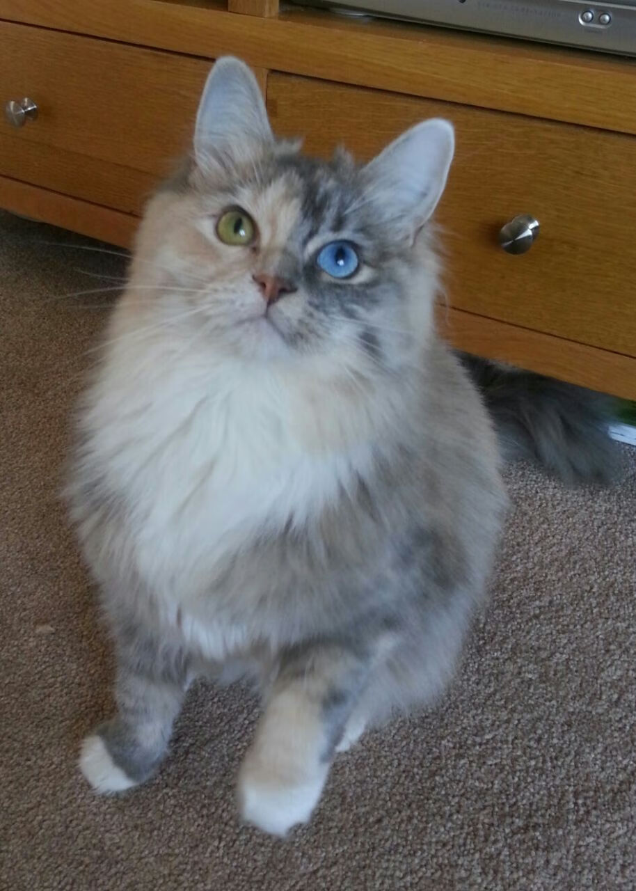 电子竞技大众联赛推动全民参与热情，电子竞技大型赛事