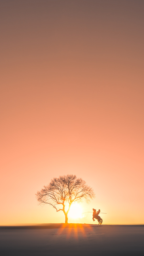 职业联赛赞助计划多样化促进市场活力释放，职业联赛靠什么赚钱