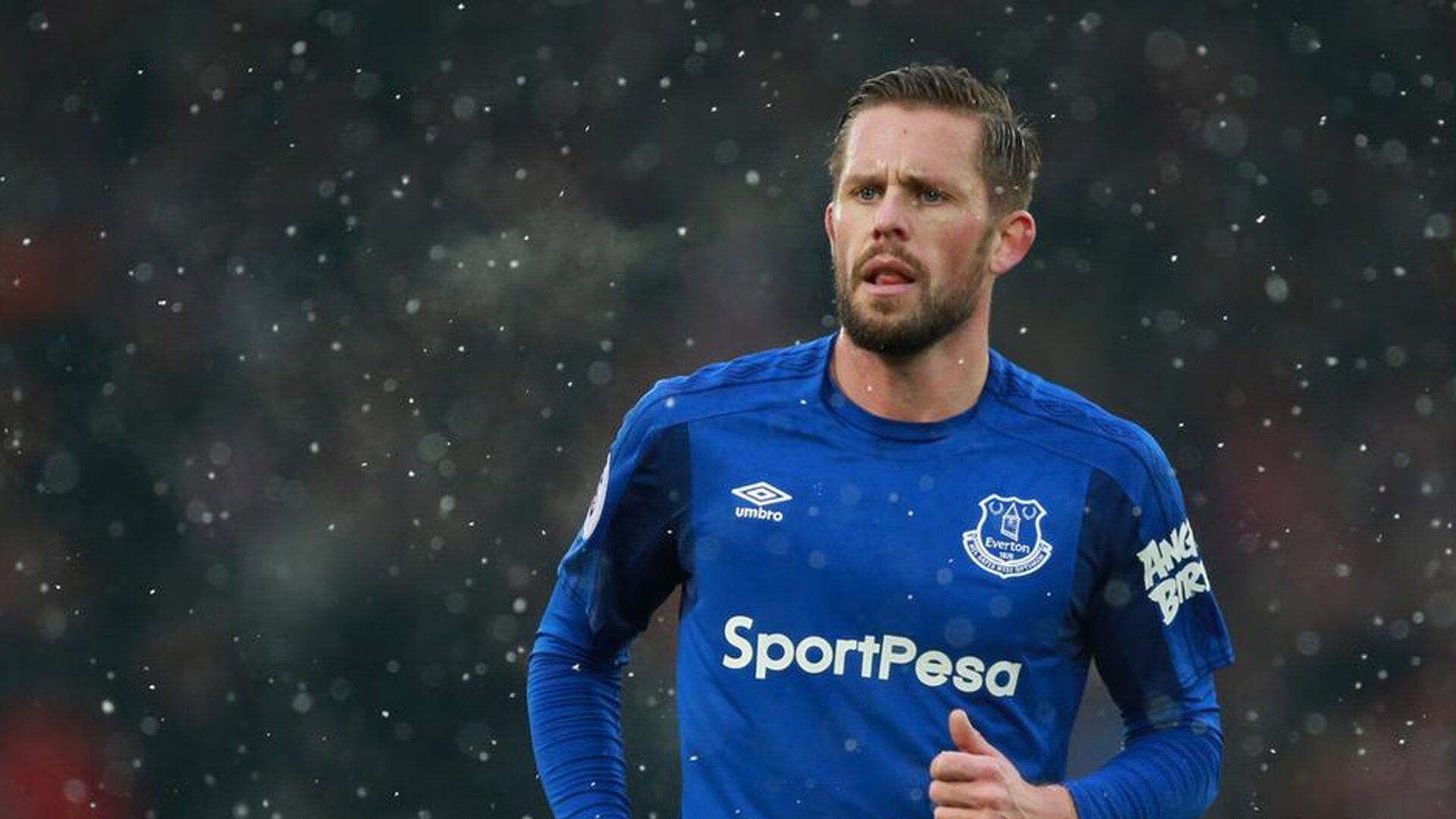 WRC赛事志：车手、团队与粉丝的故事，wrc参赛车队2020