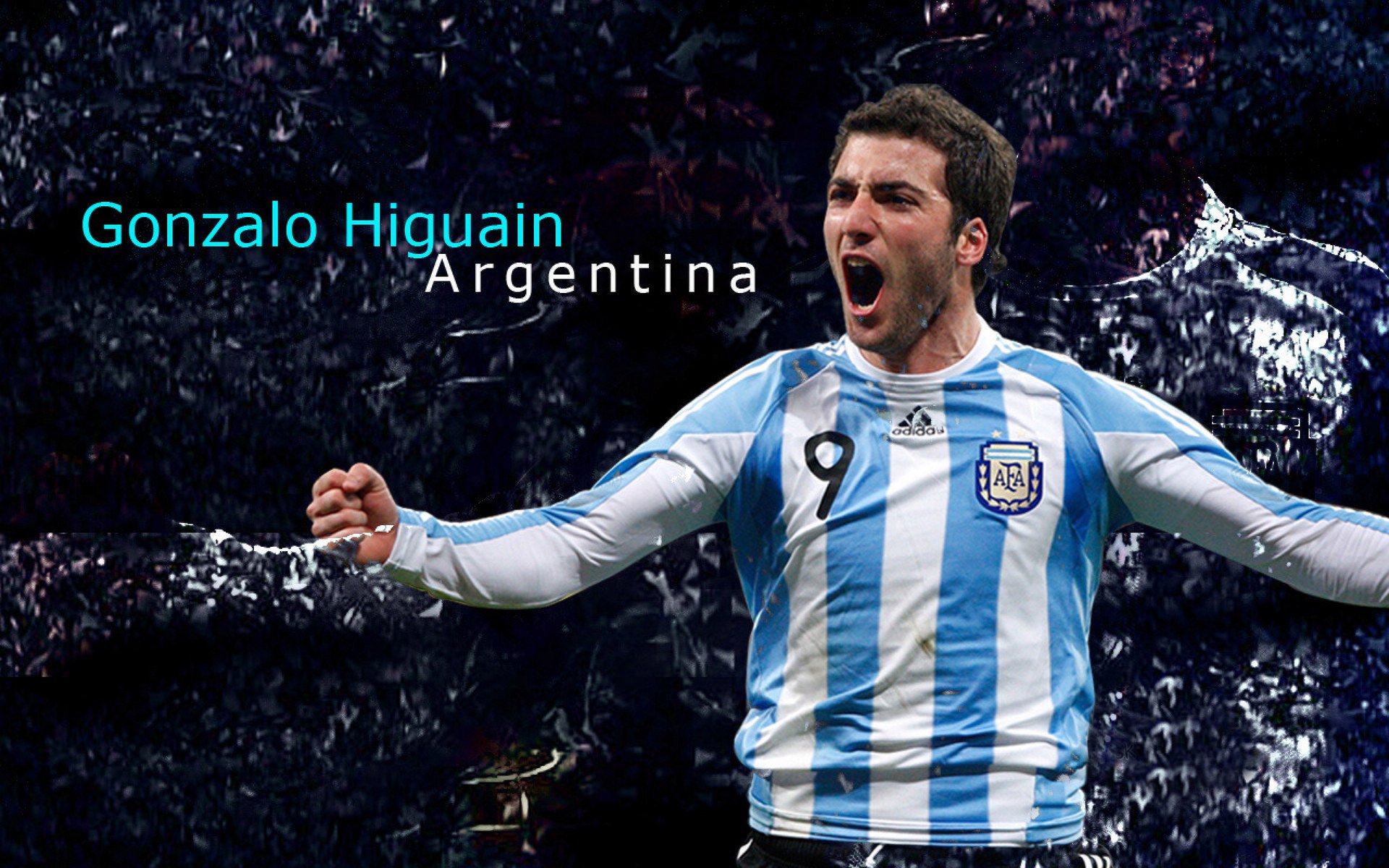 _魔术队创造多项纪录，赛季表现令人期待_，魔术队冠军