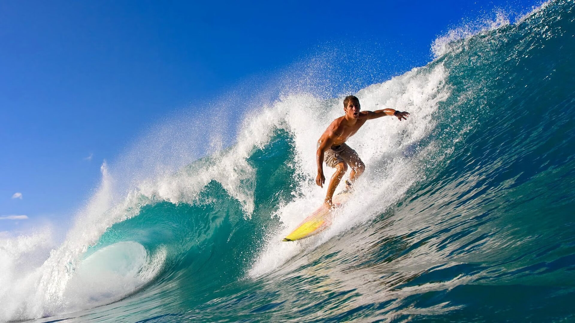 光明记忆“未来战士”线上联盟赛，策略对抗全面升级，2020光明未来直播